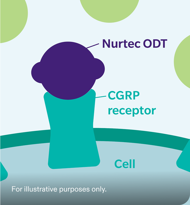 Illustration of how Nurtec® ODT (rimegepant) blocks CGRP from binding to its receptor, helping to treat and prevent migraine attacks. See safety info.