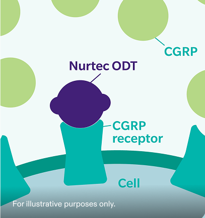 Illustration of Nurtec® ODT (rimegepant) blocking a CGRP receptor. See safety info.